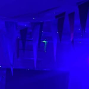 Party