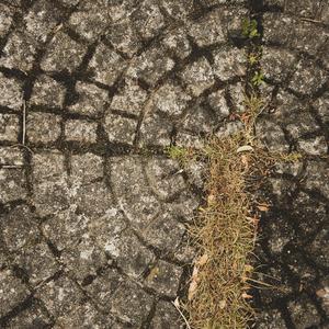 Förlossning i betongbunkern