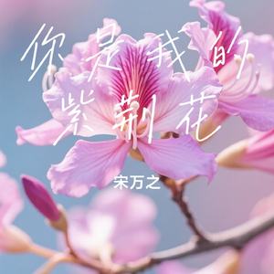 你是我的紫荆花