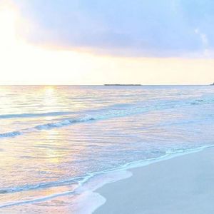 踩响深秋银杏的金黄乐章