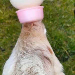 the first kiss is like a song