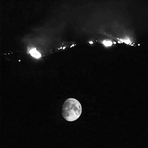 这是不是我想要的未来