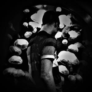 Not Alone
