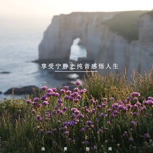 适当放松 (放松纯音乐)