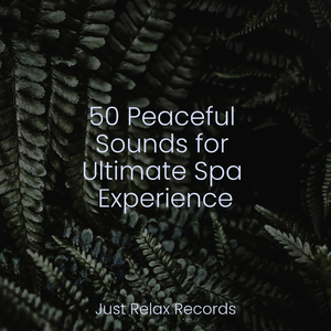 Pulsating Melodies of Love