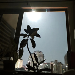 3：00 AM 频率