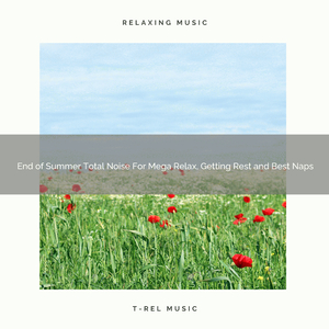 End of Summer Total Noise For Mega Relax, Getting Rest and Best Naps