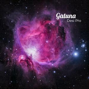 Gatuna | Zouk Instrumental