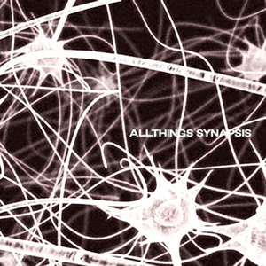 Synapsis