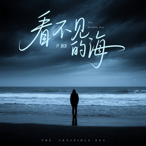 看不见的海