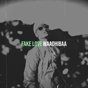 Fake Love