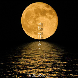 沉默以对（金子会发光721 remix）