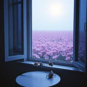 花海