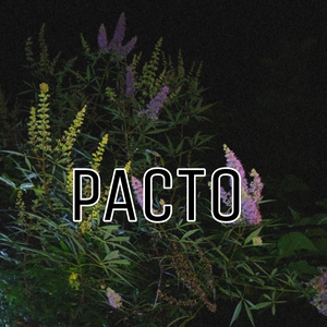 Pacto