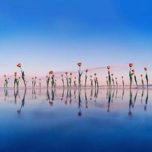 耗尽（翻自 聪明）