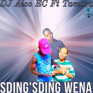 Sdim'dim wena (feat. Tamara)