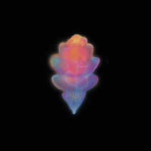 EOS KYMA