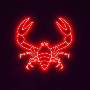 我是天蝎座（爱得太过火）