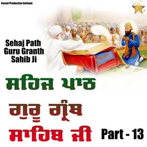 Sehaj Path Guru Granth sahib Ji Part, Pt. 13