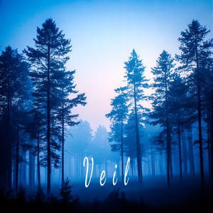 Veil