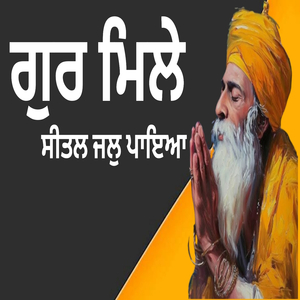 ਗੁਰ ਮਿਲੇ ਸੀਤਲ ਜਲੁ ਪਾਇਆ