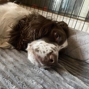 你没有爱情，可能是因为你不懂耍流氓