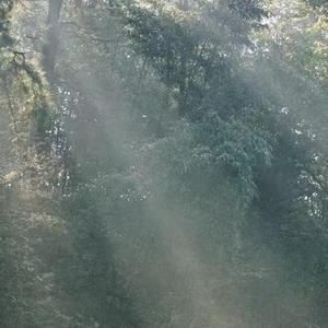 这一生关于你的风景