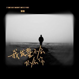 我发誓不会怀念你