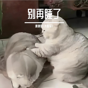 起来吧