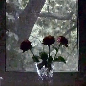 想再见一面（prod by FRESH_ye）