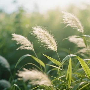 明日重逢伴月明