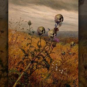 Causa y Naturaleza (4. Inédito)