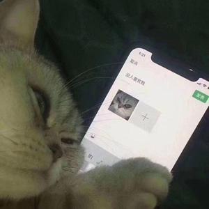 Froggy-深圳不会下雪，你也不会出现(feat.Froggy)（王凯瑞Kray remix）