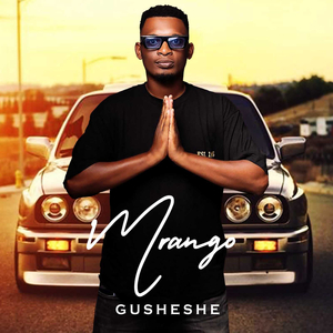 Gusheshe