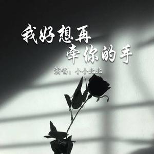 我好想再牵你的手