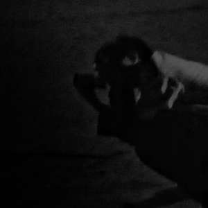 M.I.K.I.-Desire is out of reach（嘉锋 Remix）