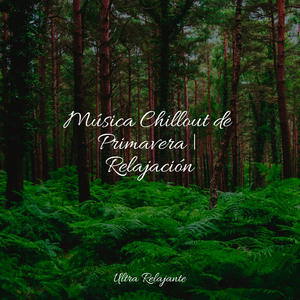 Corrientes Sinuosas