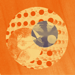 Black Dot, White Spider