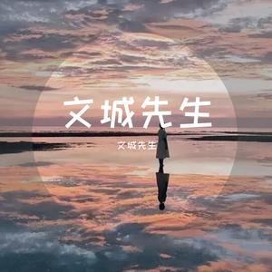 文城先生 - 二十七八岁的我们