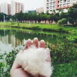 致青春（Cover 王菲）