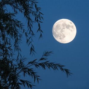 清风明月离人愁