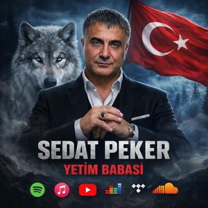 SEDAT PEKER