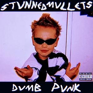 Dumb Punk