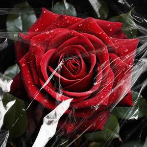 i never knew i needed you (it wasnt until you saved me)