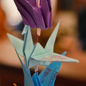 风吹麦浪（翻自 叶一茜）