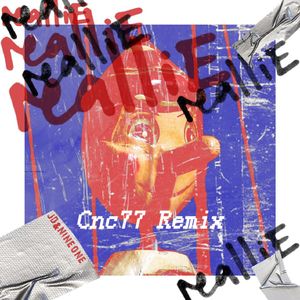 Real Lie Remix