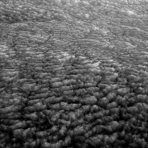 Summer's Day Chardonnay