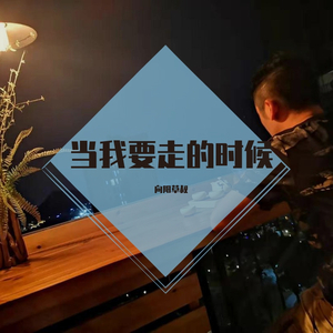 当我要走的时候