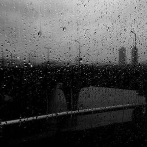 今天雷雨北风4-5级（翻自 丁芙妮）