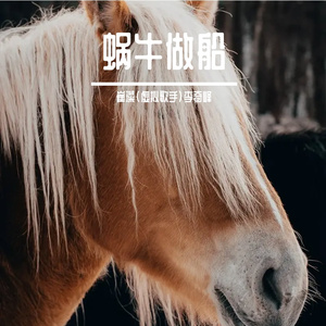 蜗牛做船